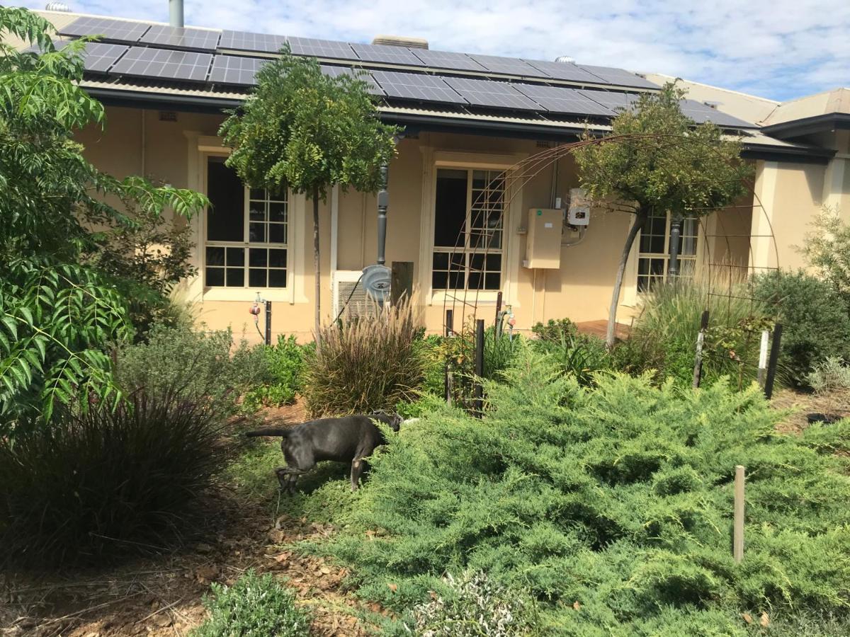 Apartamento Birdsong Gardens Quorn Exterior foto